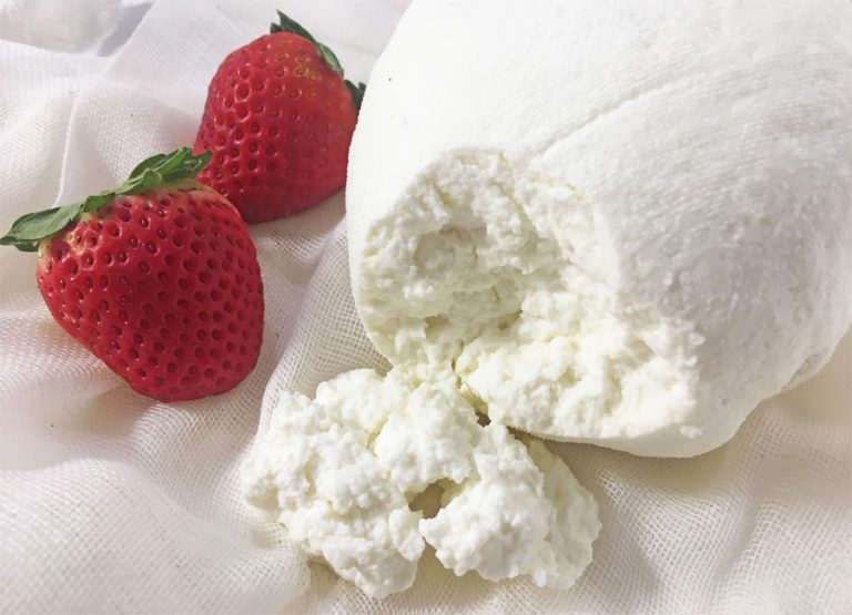 Homemade Farmers Cheese Recipe